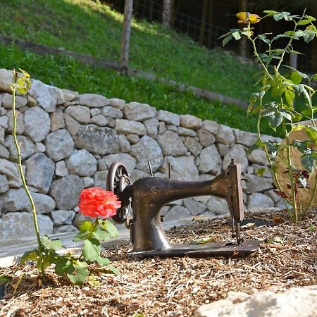 Gite De Charme La Chabotte - Royans / Vercors Chatelus  Εξωτερικό φωτογραφία